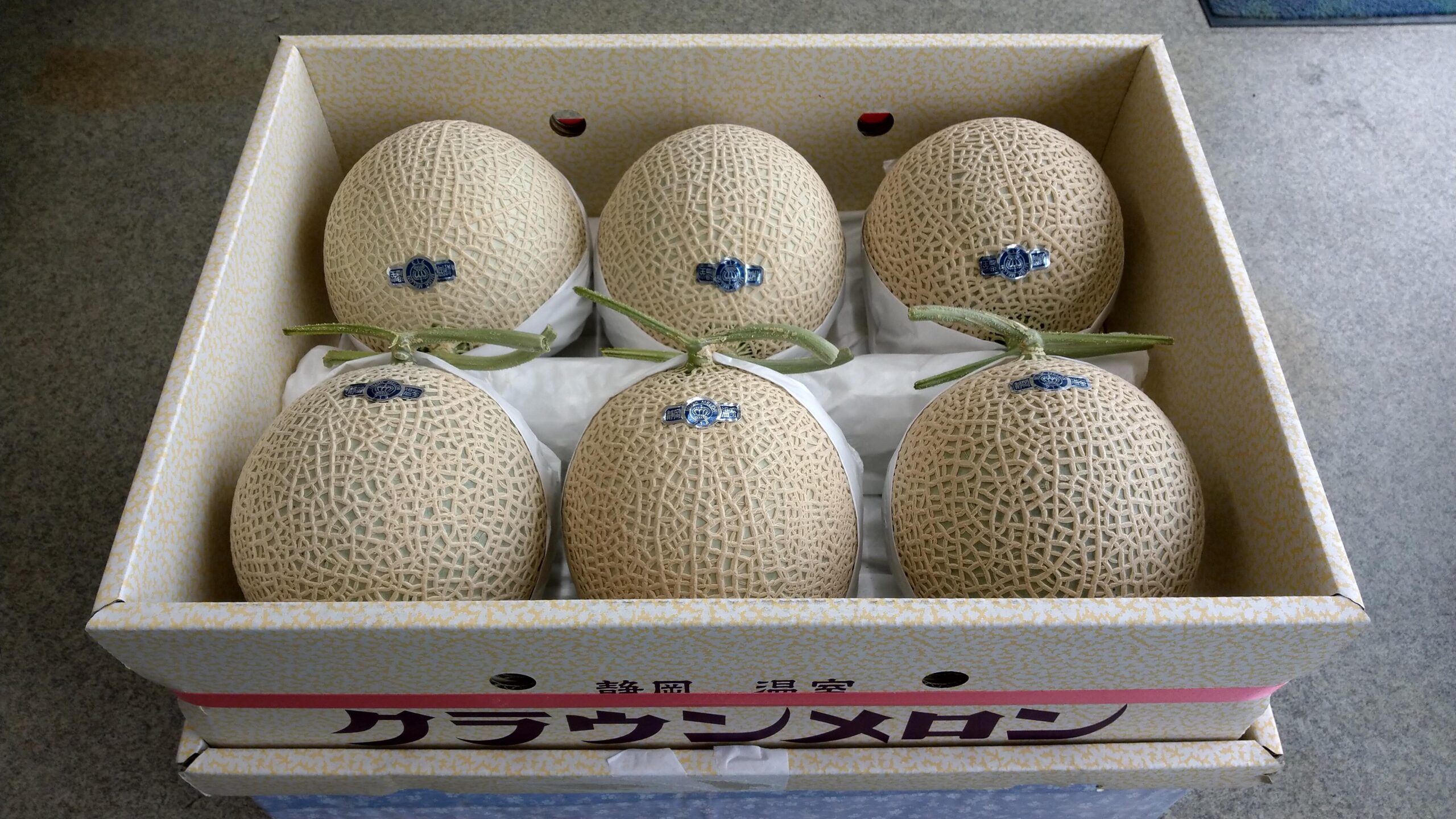 静岡の誇り